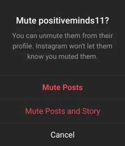 Choose between Mute Posts and Story or Mute Posts.