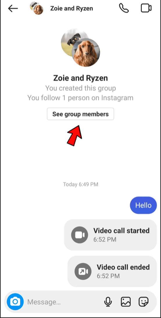 Tap the “See group members” button.