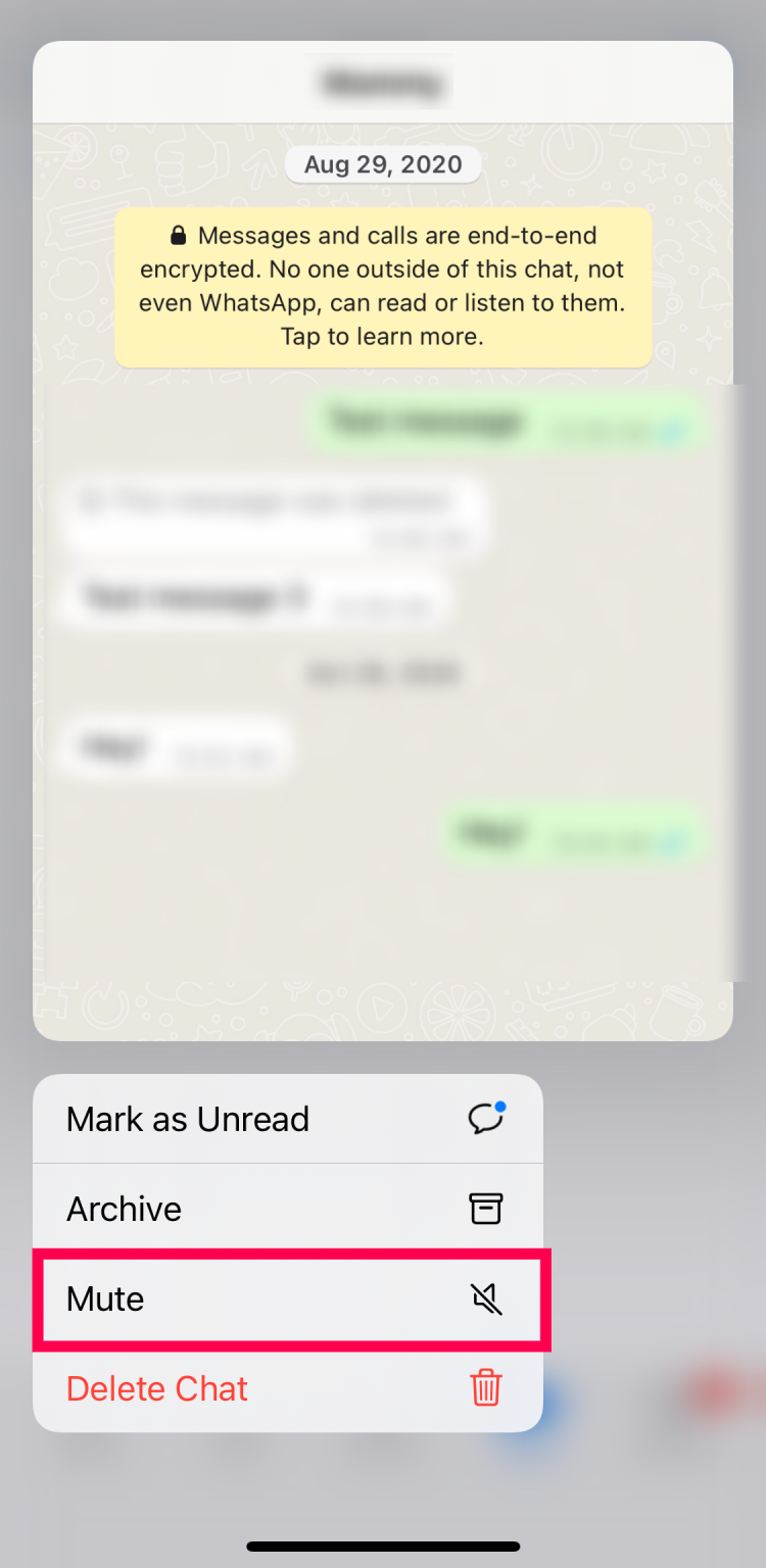 iOS users can long-press the chat and tap Mute in the pop-up window.