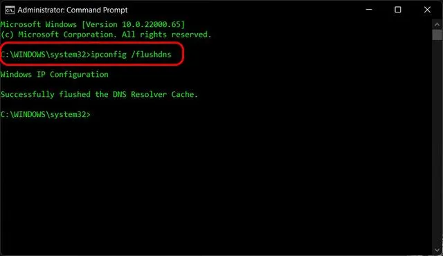 flush-reset-dns