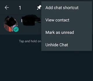 how-to-unhide-hidden-chat-in-gbwhatsapp