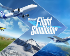 Microsoft Flight Simulator