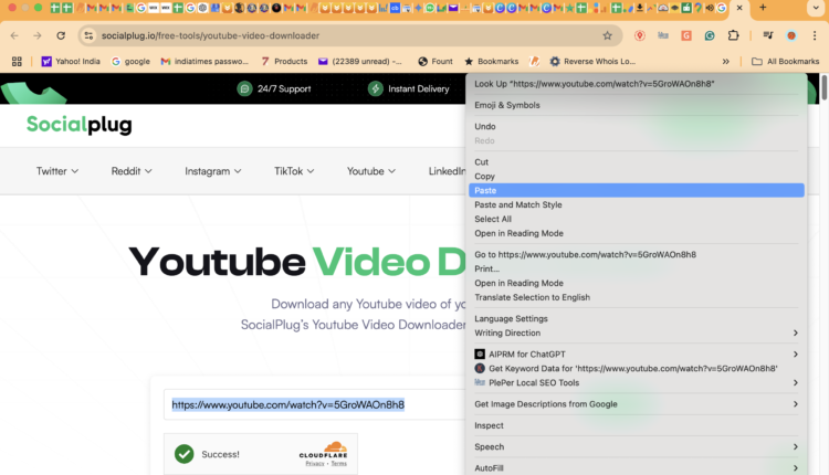 Screenshot of the socialplug.io website with a YouTube video URL pasted into the input field, click 'get video' and ready for download processing