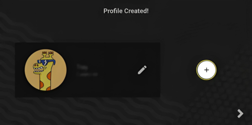 To add another profile, tap +, or proceed by tapping the right arrow.