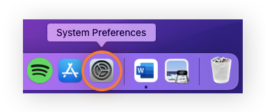 Click on the System Preferences icon