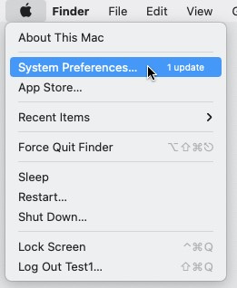 Access System Preferences