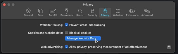 Click on Manage Website Data