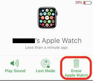 Select Erase Apple Watch.
