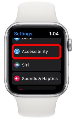 select Accessibility from the options