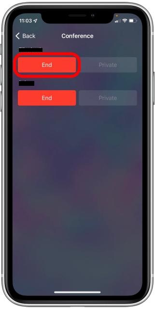 select End Call below the person's name