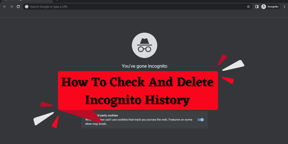 How to see and delete incognito history