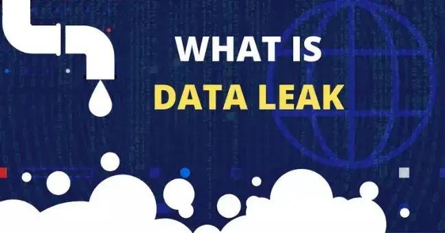 What is a Data Leak