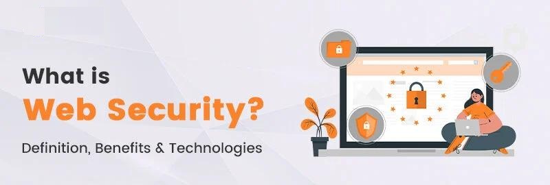 What is Web Security