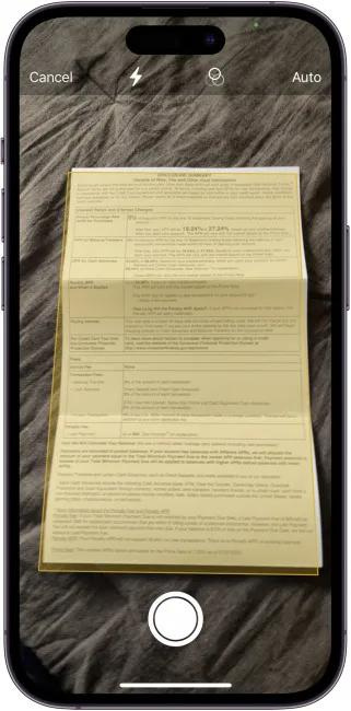 Position the document within the camera's view; the camera will automatically capture the image
