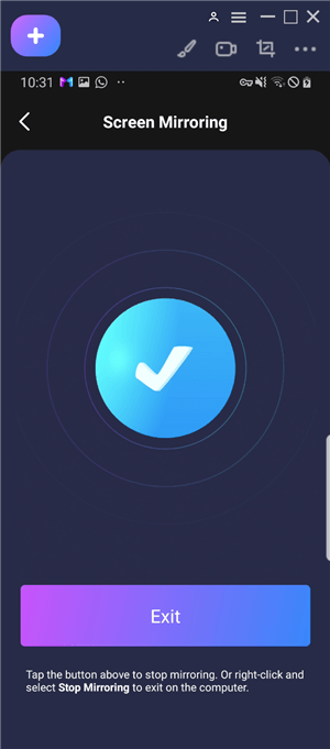 AnyMirror-4