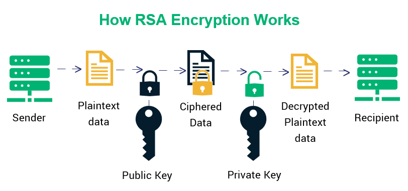 How does the RSA algorithm work