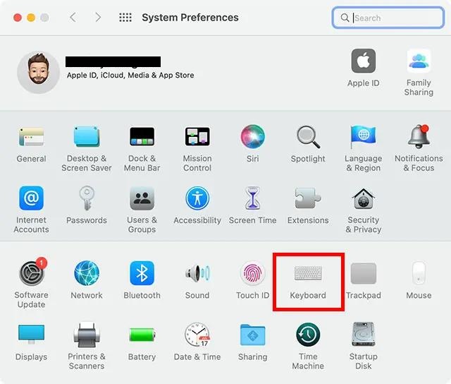 Open System Preferences and go to Keyboard