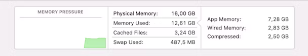 check RAM usage on Mac