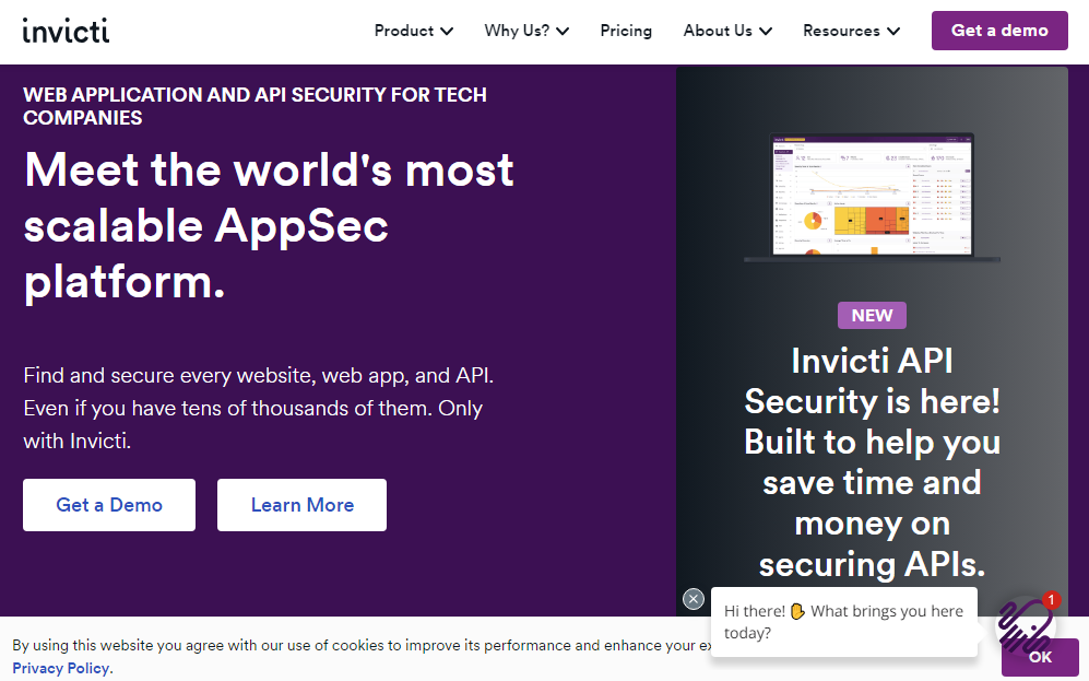 Invicti API Security