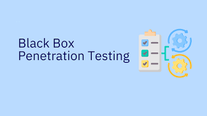 What is Black-Box Penetration Testing
